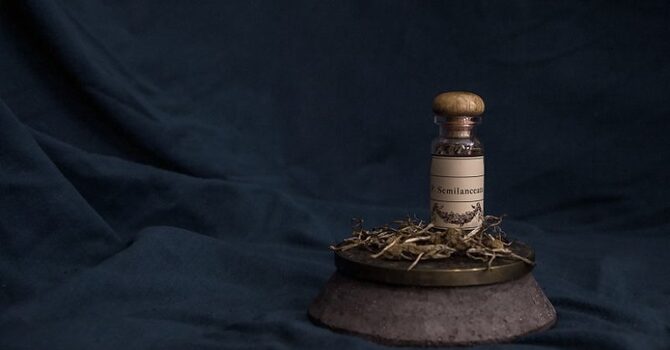 REASONS TO CHOOSE HOMEOPATHY image