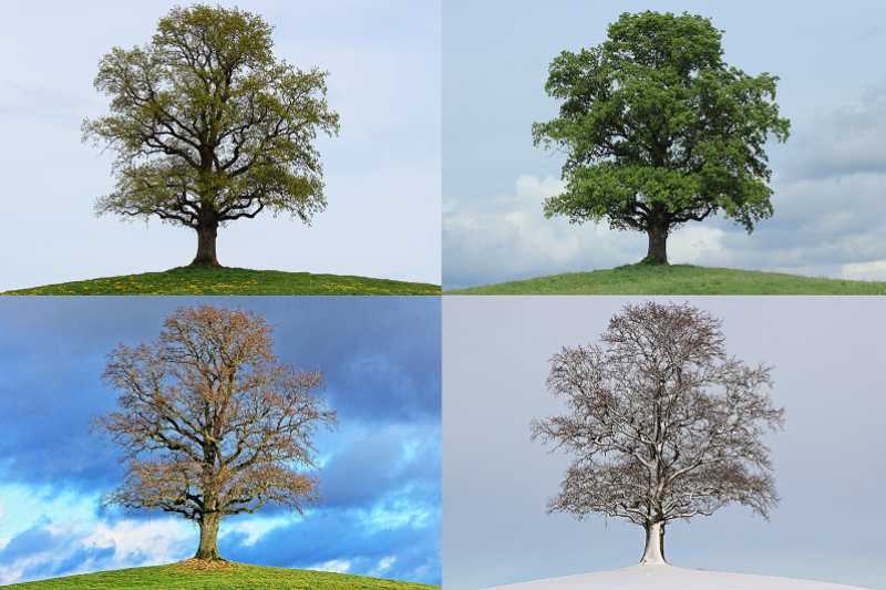 How Our Bodies Transition With Each Season