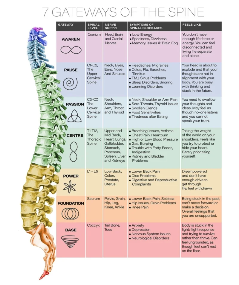 Spinal Flow Chart